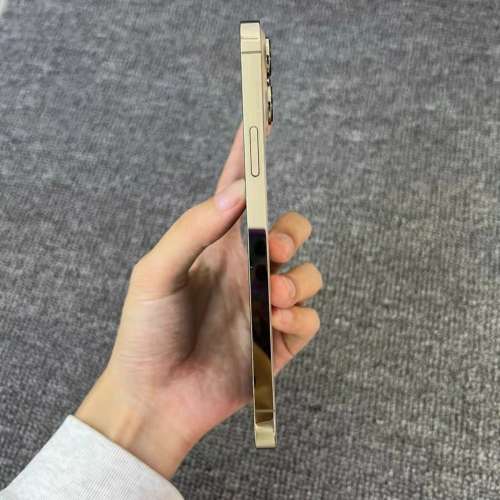 iPhone13 Por Max 1tb電池效能87 % ，跟一個全新原裝玻璃貼同埋一個手機套！