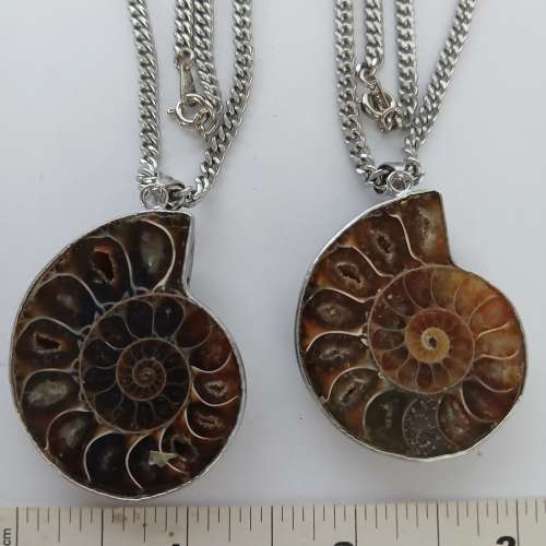 一對2隻大約一點五寸斑彩螺化石吊墜，連24寸不銹鋼頸鏈。清貨共售200元 ，單一套15...