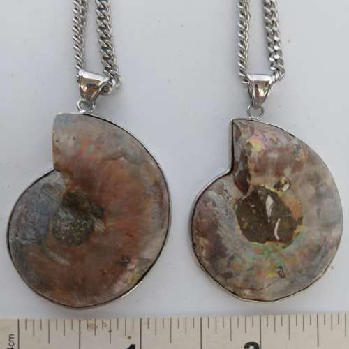 一對2隻大約一點五寸斑彩螺化石吊墜，連24寸不銹鋼頸鏈。清貨共售200元 ，單一套15...