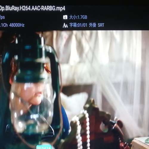 全新21寸專業級LCD 監視器