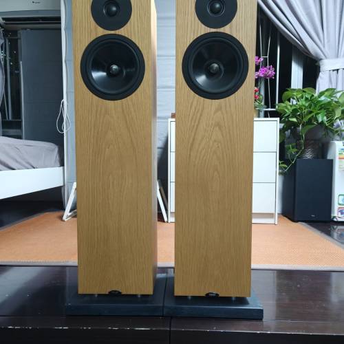 Neat acoustics ELITE SX