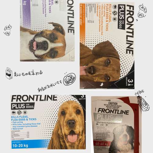 寵物用FRONTLINE PLUS (新包裝盒)