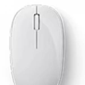 MS mouse