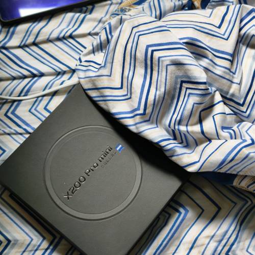 vivo x200pro mini