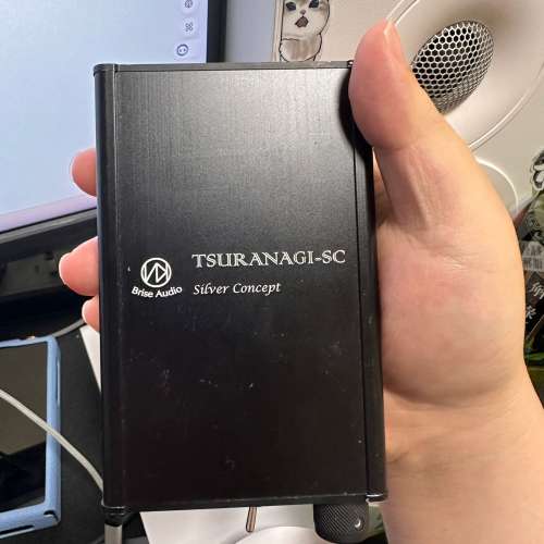 Brise audio Tsuranagi Silver Concept