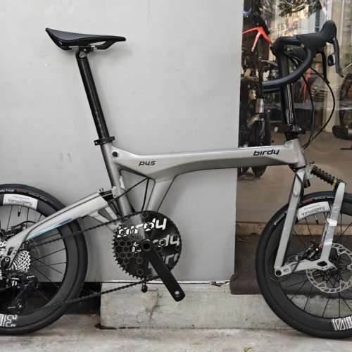 2025 BIRDY 鳥車 P45 30周年限量版 11s 20吋鋁合金折叠車 送前後蛙燈叮叮