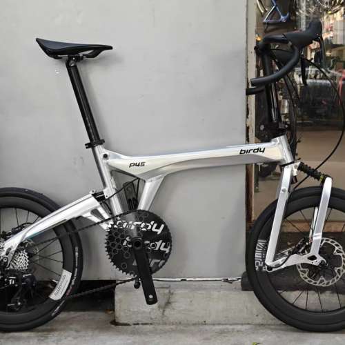 2025 BIRDY 鳥車 P45 30周年限量版 11s 20吋鋁合金折叠車 送前後蛙燈叮叮