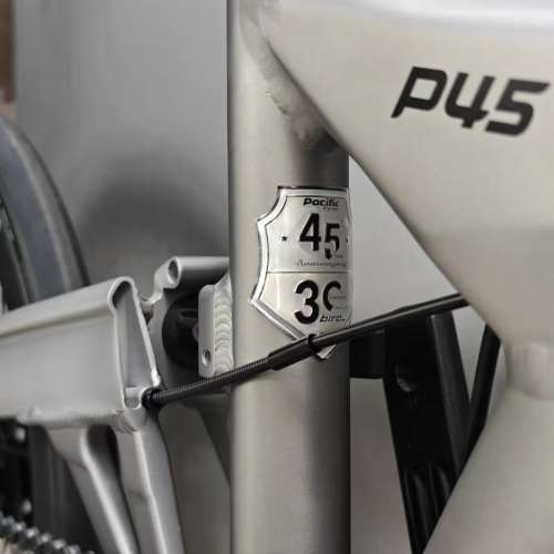 2025 BIRDY 鳥車 P45 30周年限量版 11s 20吋鋁合金折叠車 送前後蛙燈叮叮