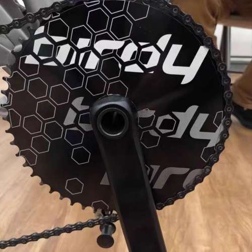 2025 BIRDY 鳥車 P45 30周年限量版 11s 20吋鋁合金折叠車 送前後蛙燈叮叮