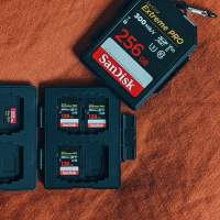 [ 現貨！ ] Sandisk 記憶卡造型卡盒（ SD / Micro SD / CFexpress ）