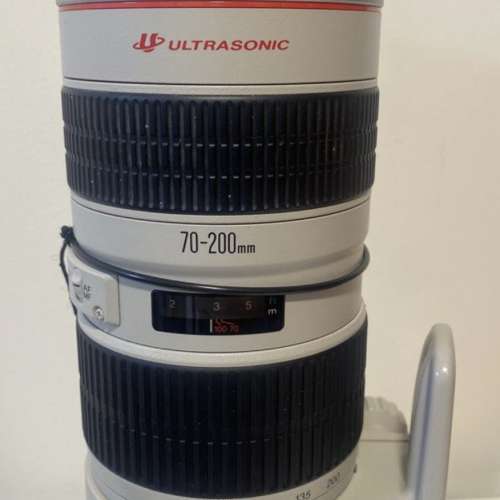 Canon EF 70-200mm f/2.8L USM