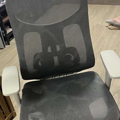 Szeeo人體工學辦公椅