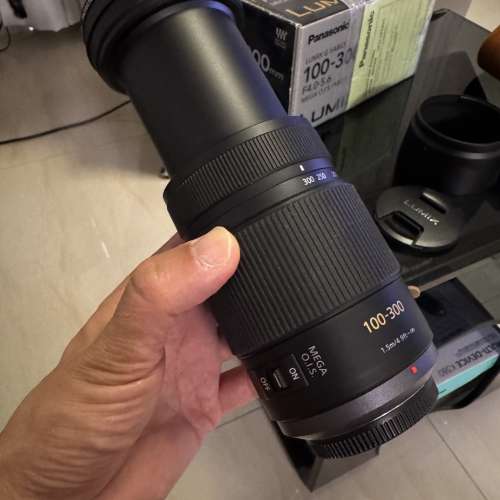 Panasonic Lumix G Vario 100-300mm F4.0-5.6 MEGA OIS M43