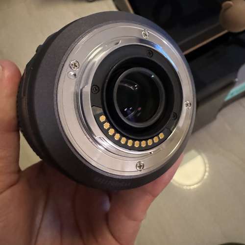 Panasonic Lumix G Vario 100-300mm F4.0-5.6 MEGA OIS M43