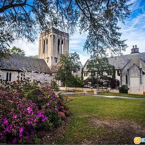 Vivitar 17/3.5  Auto Wide-Angle(AIS)銳利，低變形超廣角，畸變比Nikon 18/3.5仲要...