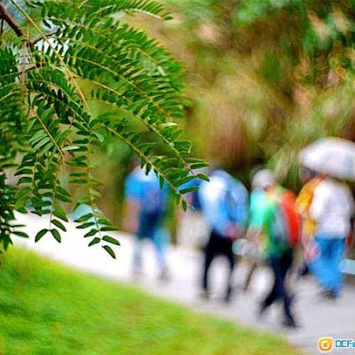 Bausch & Lomb Baltar 25mm f/2.3 APSC 電影鏡皇，立体感强烈，完全電影鏡味NEX Fu...