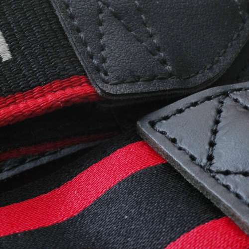 全新日版古董頸帶Nikon Wide Strap及EOS 5D Mark2 Professional Version料靚襟用