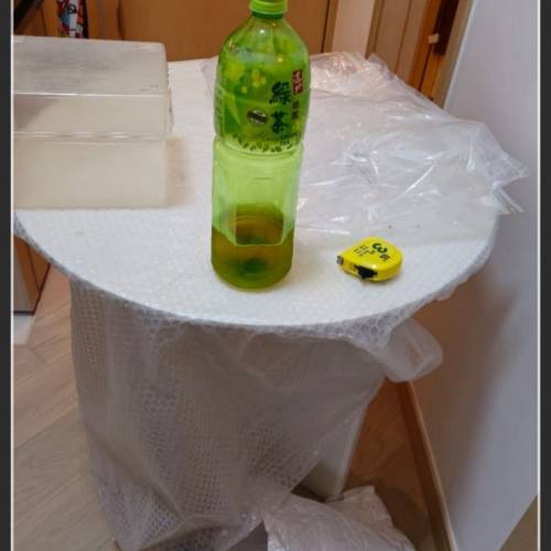 桌子 高29.5直徑27.5 康城 海茵莊園交收