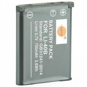DSTE Leica BP-DC17 Lithium-Ion Battery Pack 代用鋰電池 (3.7V，700mAh)