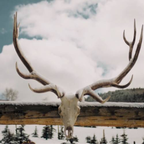 Tokina AT-X PRO 28-70 F2.8