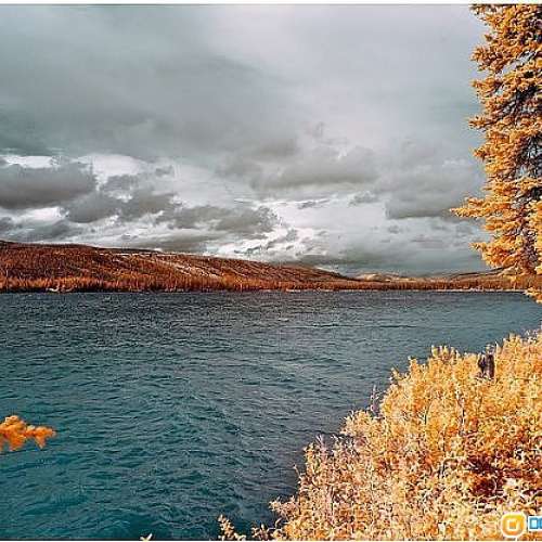 紅外線攝影$750 改機 (DSLR) 改好先收$ ( ir590 650 720 850 950 InfraRed 天文 影...