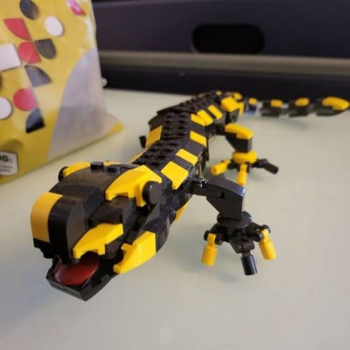 全新火蠑螈積木（未砌)