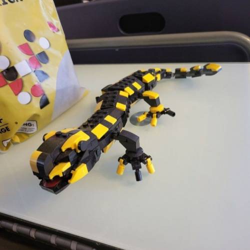 全新火蠑螈積木（未砌)