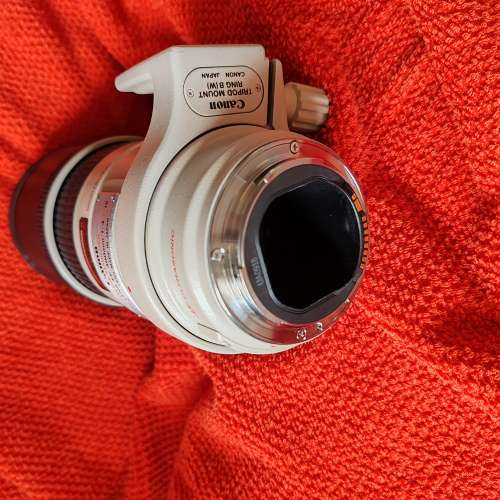 Canon EF300mm f4L IS USM