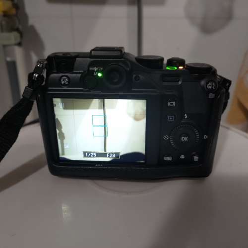 Nikon P7000 CCD