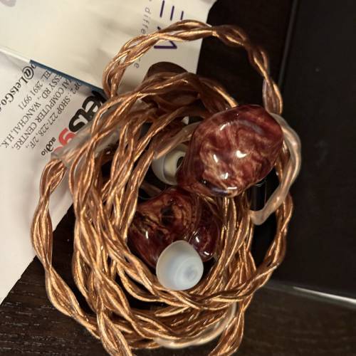 INEAR PP8 VS全套連收據+PW NO.5升級線