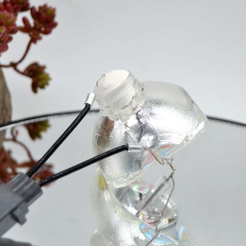 爱普生投影机灯泡爱普生EB-D290全新灯泡EB-C250X   S EB-C05S