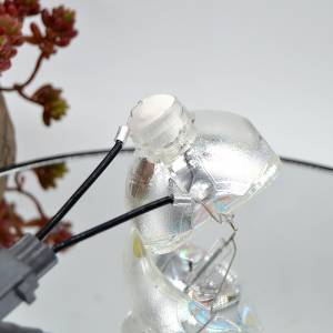爱普生投影机灯泡EB-D290全新投影仪灯泡EB-C250X   S EB-C05S