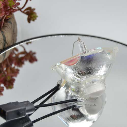 爱普生投影机灯泡EB-D290全新投影仪灯泡EB-C250X   S EB-C05S