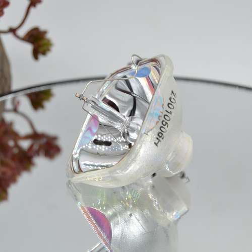 爱普生投影机灯泡EB-D290全新投影仪灯泡EB-C250X   S EB-C05S