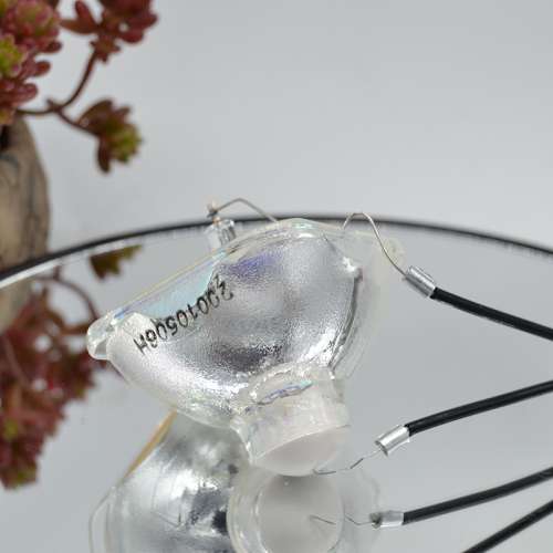 爱普生投影机灯泡EB-D290全新投影仪灯泡EB-C250X   S EB-C05S