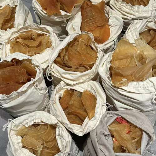 香港回收花膠 收購新舊魚膠