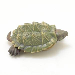 大鱷龟危險生物大百科