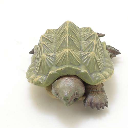 大鱷龟危險生物大百科