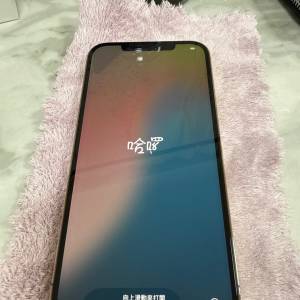 iphone 12 promax