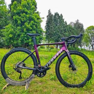 2025 SUNPEED VICTORY 24速 桶軸油剎碳纖維公路車 送水架前後蛙燈