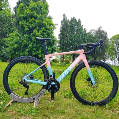 2025 SUNPEED VICTORY 24速 桶軸油剎碳纖維公路車 送水架前後蛙燈