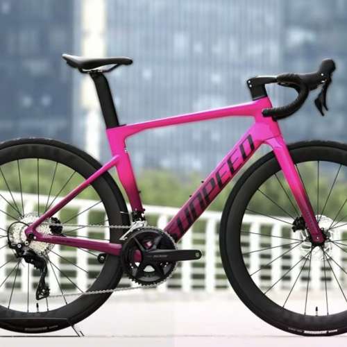 2025 SUNPEED VICTORY 24速 桶軸油剎碳纖維公路車 送水架前後蛙燈