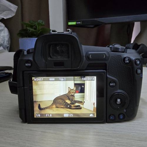 CannonEos R 包四粒電池