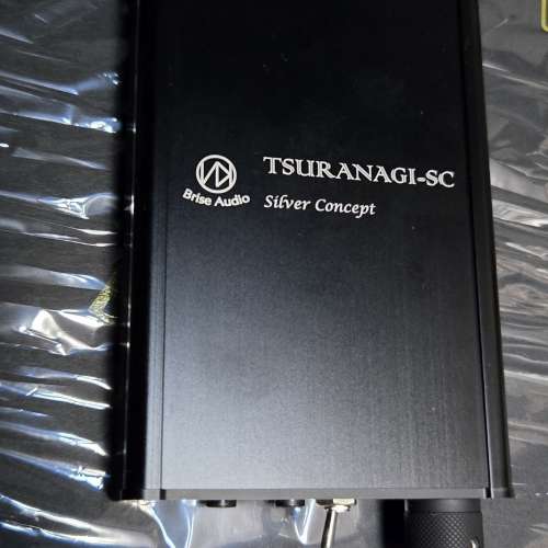 Brise Audio TSURANAGI SC V2 耳擴