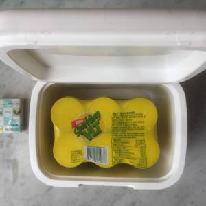 $150 100%全新 未用過 德爾曼 6L 戶外保溫箱 (可以放六罐以上汽水)