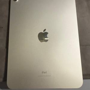 iPad 10th WiFi 256gb 有保養