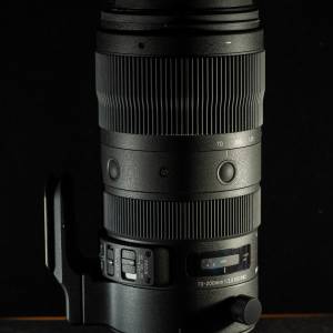 Sigma 70-200mm F2.8 DG OS HSM│Sports 鏡頭 (Nikon F mount)