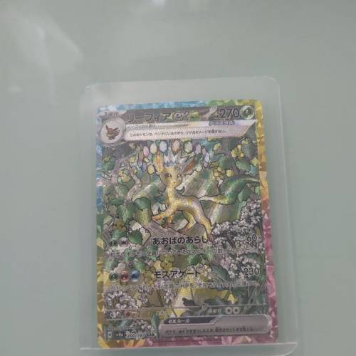 葉伊貝&月亮伊貝 日版(包卡套）可議價