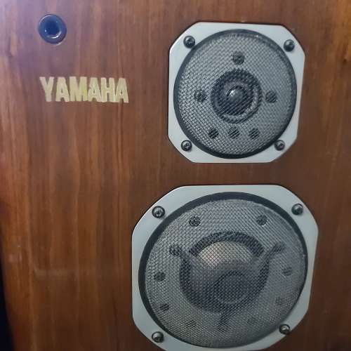 Yamaha ns2000
