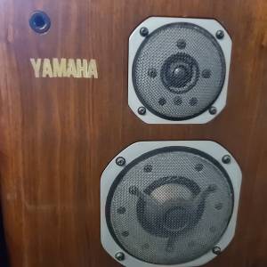 Yamaha ns2000